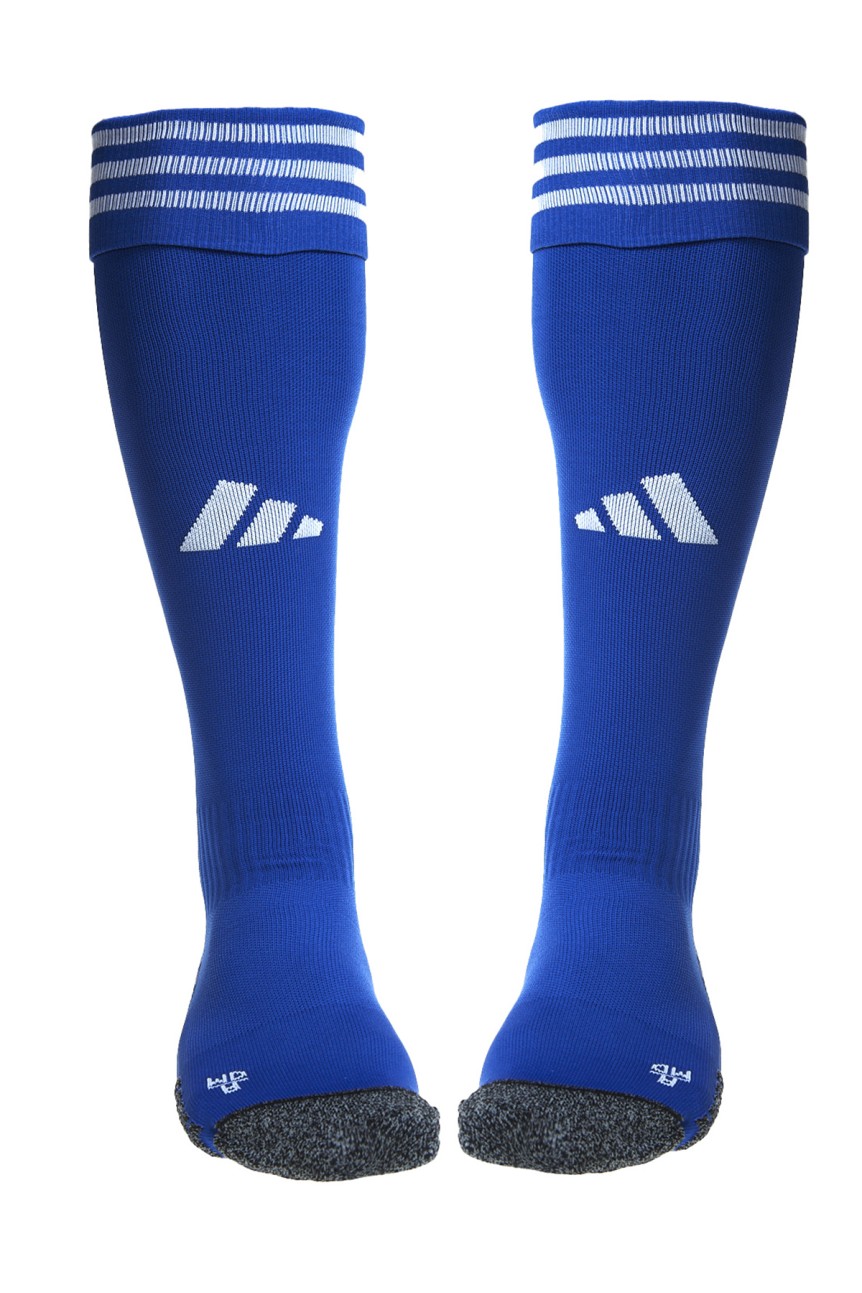 Blue Goalkeeper Socks 2023-24
