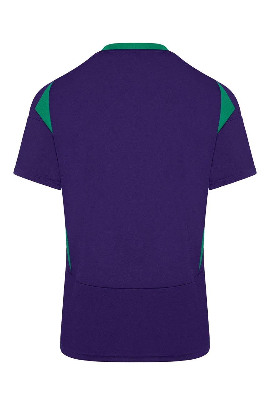 Men's Third Shirt 24/25 Panathinaikos FC 2