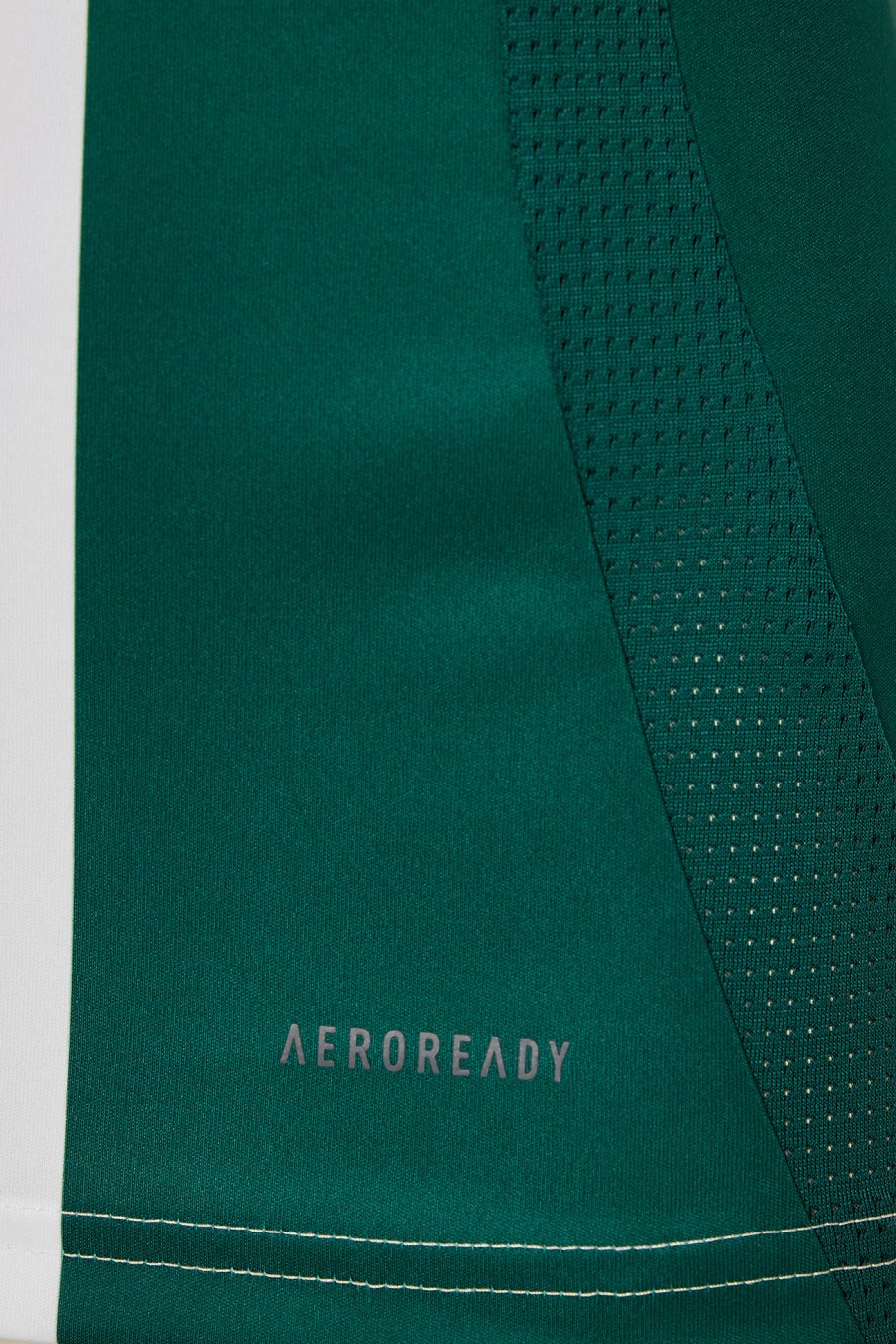 Men's Home Shirt 24/25 Panathinaikos FC