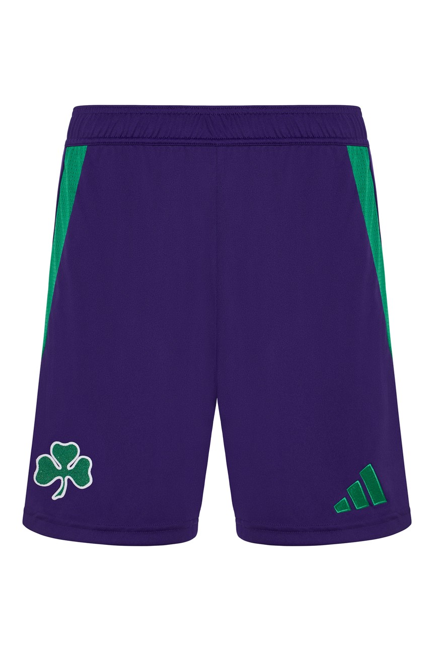 Men's Third Match Shorts 24/25