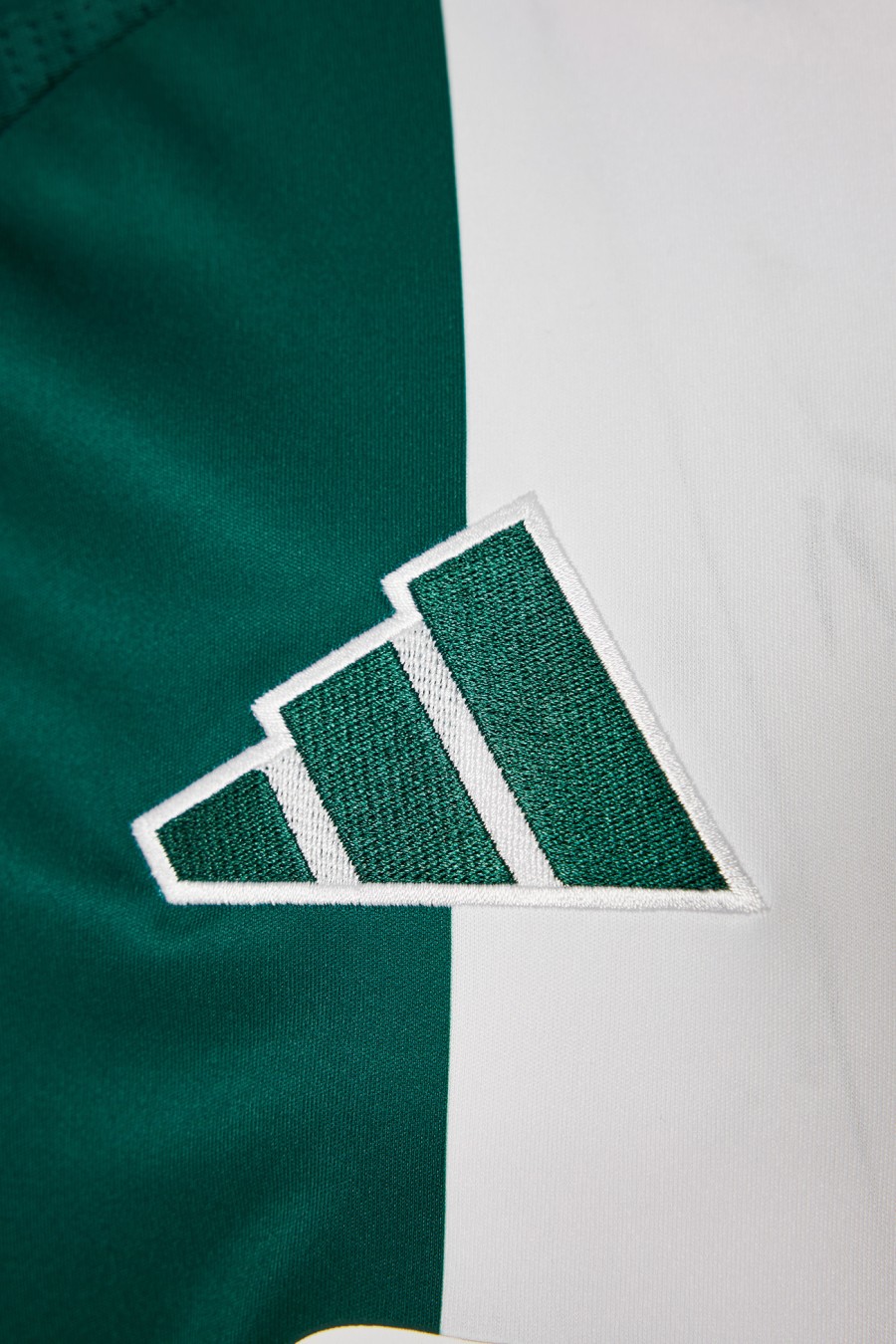 Men's Home Shirt 24/25 Panathinaikos FC