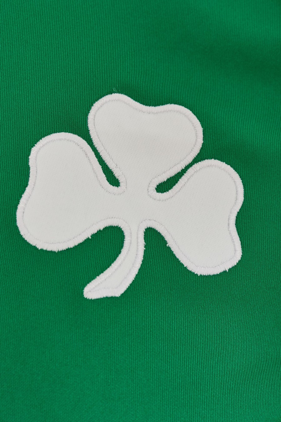 Men Jersey for Friendly Games 2024-25