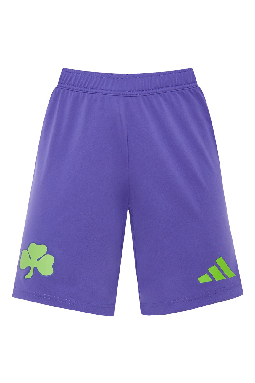 Men Goalkeeper 2nd Shorts 24/25