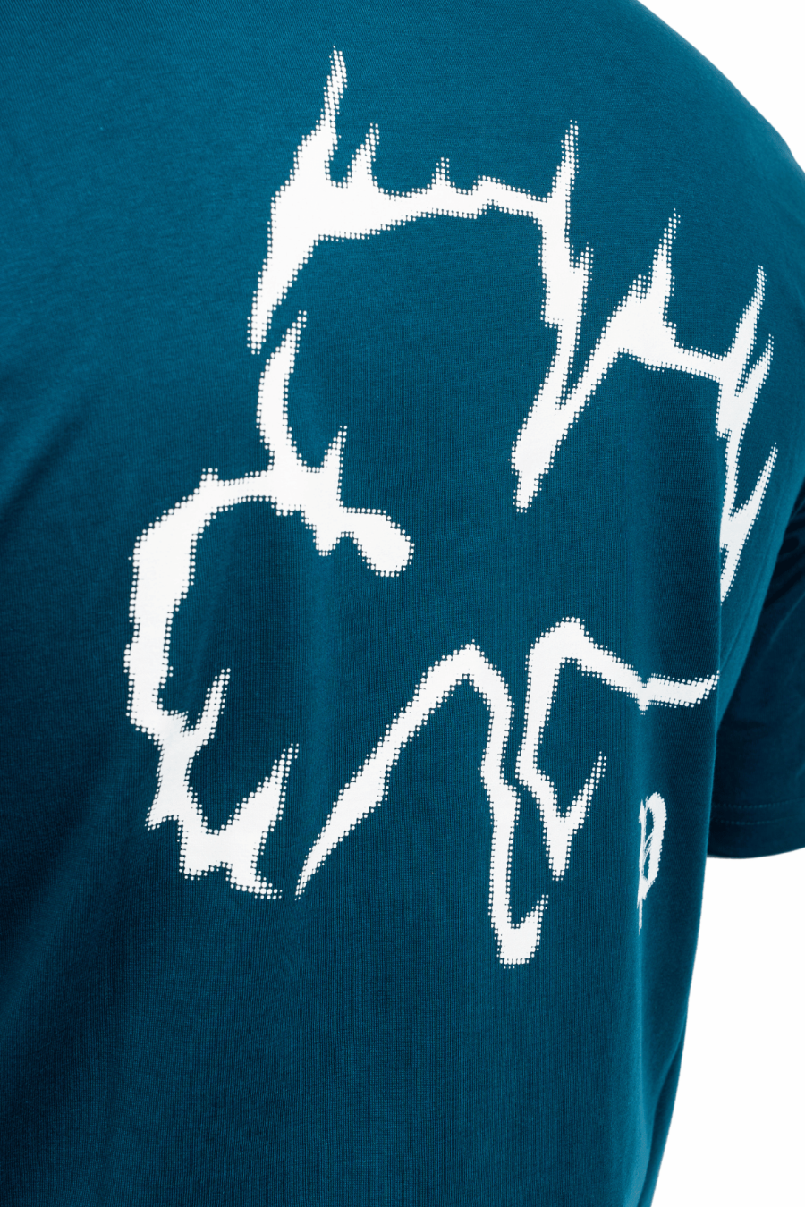 T-Shirt FLAMING SHAMROCK